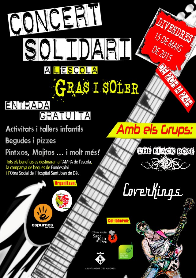 Concert solidari