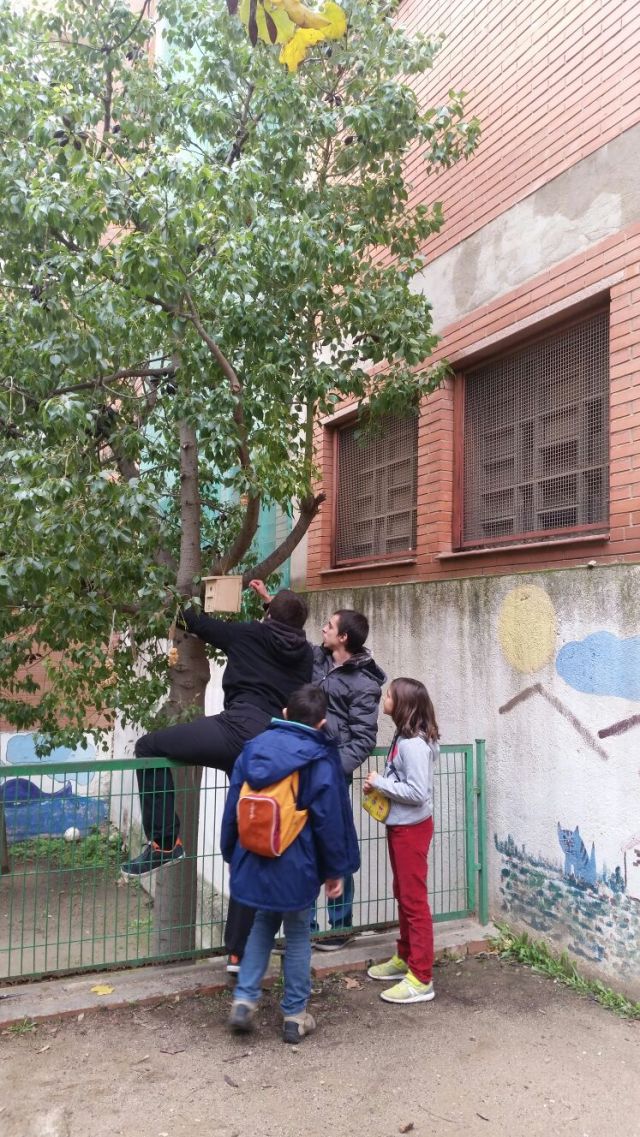 aa167cf3-cd7b-4e25-b0b1-1105aa794036